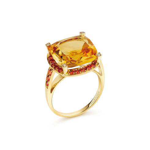 Bague Couleur Arlequin