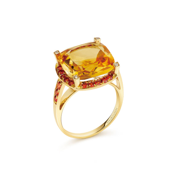 Bague Couleur Arlequin