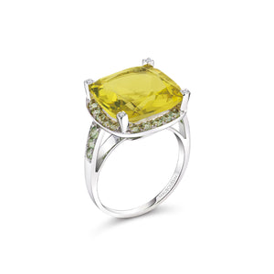 Bague Couleur Arlequin