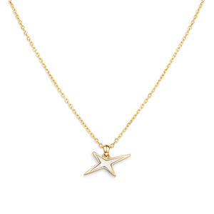 Pendentif L'Étoile Arlequin